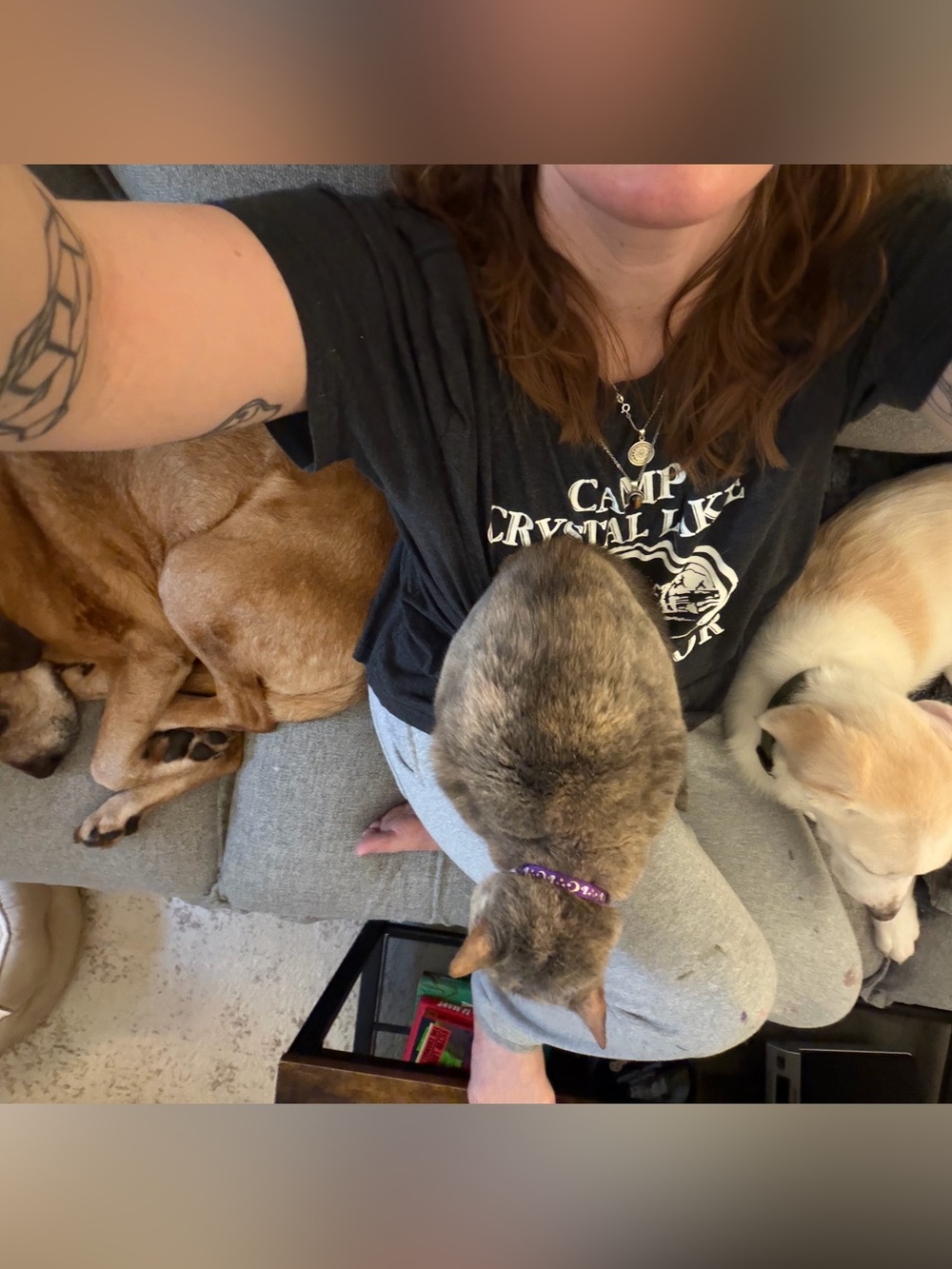 SORE IS LIVE! ✨🐾🦊 - Picture 15 of 16
